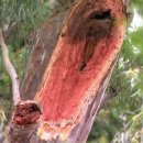 그늘막117 이미지