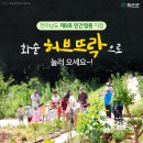 화순허브뜨락 이미지