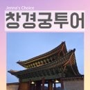 제나·K | 창경궁 투어 궁궐 워킹투어 빠져들었던 솔직 후기
