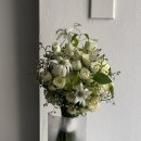 더케이에델바이스 이미지