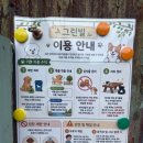 그린빌 | 포천 애견계곡 추천 🐾 대형견도 눈치 없이 뛰어노는 계곡, 그린빌 방문 후기