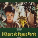 그린파파야 이미지