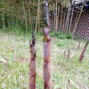 국제대로 이미지