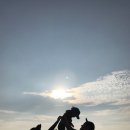 바다가 좋아펜션 이미지