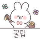 둘리명품새우