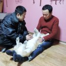 안충기 애견스쿨 이미지