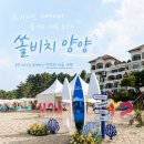 성지 게임장 | [공지] 국내 여름 휴가지 추천 바다 가까운 쏠비치 양양 디럭스 스위트 숙박 프라이빗해변 후기