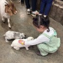 울산 동물원 카페 실내 아이랑 즐거운 시간 헬로우쥬