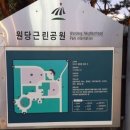 플라체
