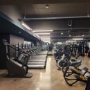 불독휘트니스 이미지