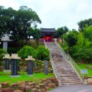 순천-48호 이미지