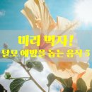 먹자! 탈모 예방을 돕는 음식 이미지