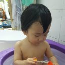 멍멍타요 이미지