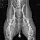 미사서울동물병원 이미지