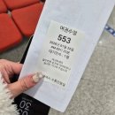 서구청 민원실 | 대전 서구청 여권발급 후기｜준비물·수수료·소요기간 한눈에 정리✨️