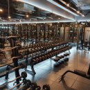 머슬서포트짐 이미지