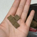 퍼피베이크 이미지