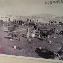우왕축산