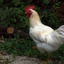 에코에코협동조합 이미지