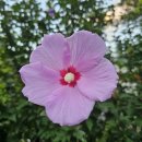 선원민박 이미지