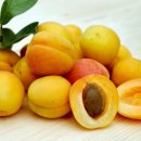 송원리경로당 이미지