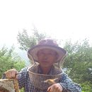 유밀농장 이미지