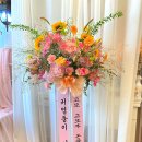 유온달포장 율하점