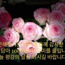 법률행정 서문택 행정사 사무소 이미지