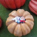 권박사크리닝 | 많은일그만