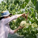 동춘농장 이미지