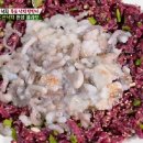 낙지의 전설 이미지