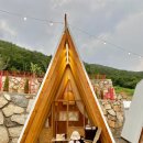 돌담숲 이미지