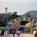 부산어린이대공원 Daum카페