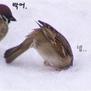 비몽사몽 이미지