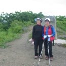 괴목민박 이미지