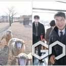 김정기 농장 이미지