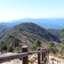 일등정형외과의원 이미지