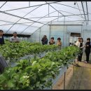 정호농장 이미지