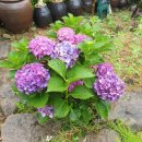 웅지와 나옹이 이미지