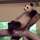 종기농장 이미지