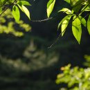 함안고등학교 이미지