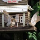 수 치과기공소 이미지