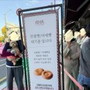 군산찰진찹쌀꽈배기 | 군산 이성당 빵 추천 주차장 웨이팅 단팥빵 야채빵 생크림앙금빵 후기