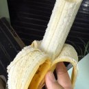 중앙다방 | 대전, 중앙다방 방문 후기