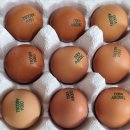 자연같이 팜 이미지