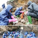 충남기름집 - 중랑구 중랑역로 43 | 충남기름집