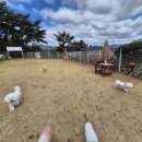 워니시티 이미지