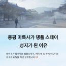 댕플 | 증평 미륵사가 댕플 스테이 성지가 된 이유? ‘반려견과 힐링’ 최적의 장소 심층 분석