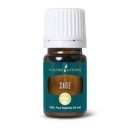 리빙허브 이미지