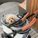 펫도그 애견스쿨 | 펫유모차 | 포로리 강아지 유모차 | 왓도그캣 이벤트 선물 받는 방법